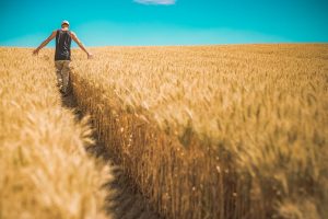 Farming Lone Working Jobs